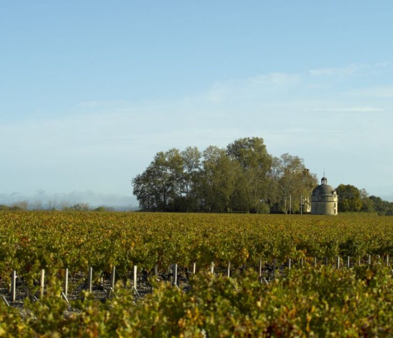 Château Latour